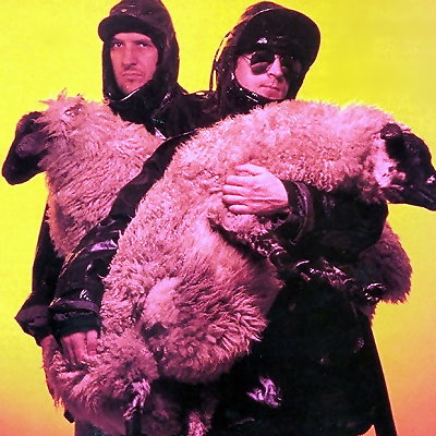 The KLF