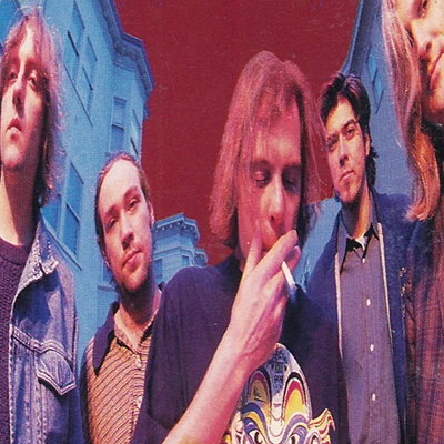 Gin Blossoms