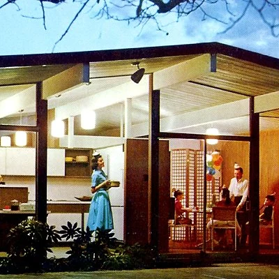 Mid Century Modern style ranch home design.