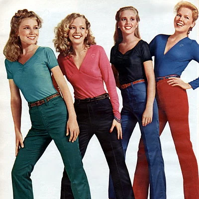 Detail from a 1979 Sears Catalog.