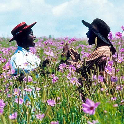 Based on the Pulitzer Prize winning novel by Alice Walker, The Color Purple is a period film directed by Steven Spielberg and starring an ensemble cast including Danny Glover, Whoopi Goldberg, Desreta Jackson, Margaret Avery, Oprah Winfrey, Rae Dawn Chong, Willard Pugh, and Adolph Caesar.