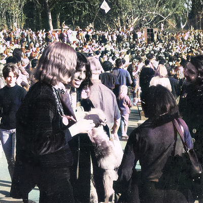 LSD Protest