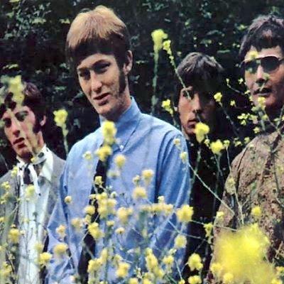 The Grass Roots